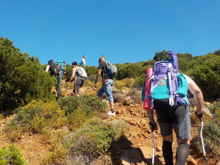 Buggerru: Guided Trekking Tour From Masua to Cala Domestica - Booking and Cancellation Policy