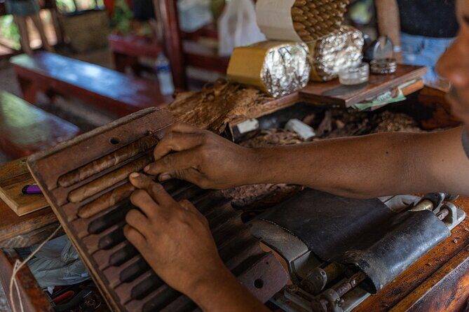 Buggies Off Road Extreme From Punta Cana - FAQs
