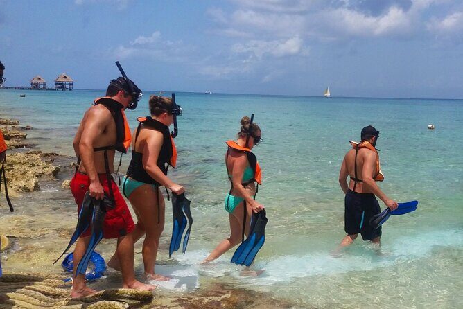 Buggy Adventure in Cozumel + Transportation from Cancún - The Value Proposition