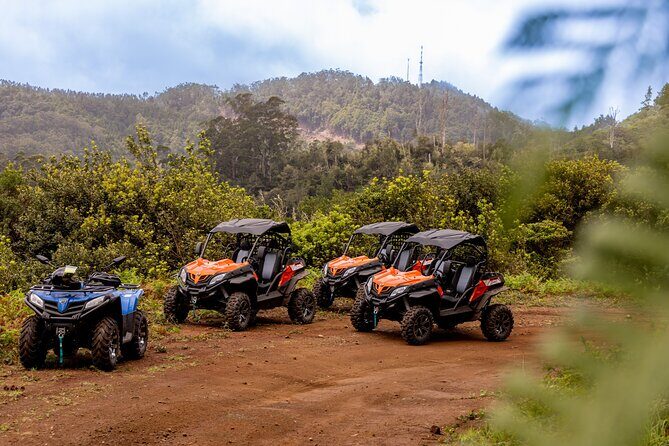 Buggy Adventure in Madeira off Road - What to Expect from Your Madeira Buggy Tour