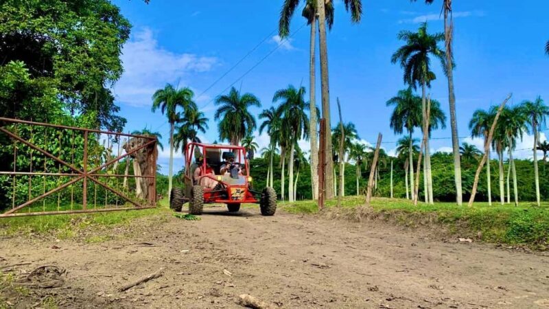 Buggy Adventure in Puerto Plata - Who Should Consider This Tour?