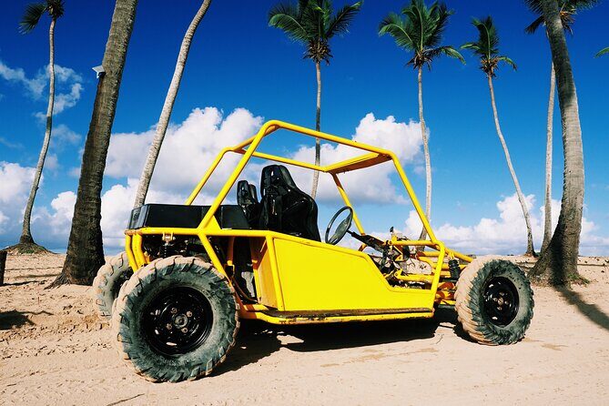 Buggy Adventure: Macao Beach & Cenote Experience - The Overall Experience: Practicalities and Value