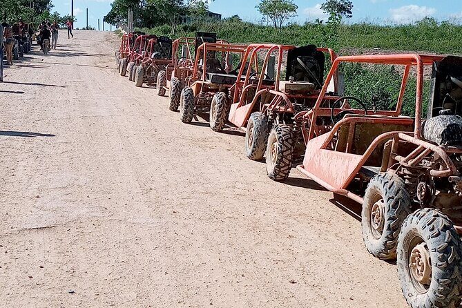 Buggy and Horseback Riding Tour on Macau Beach - Exploring the Itinerary: What to Expect