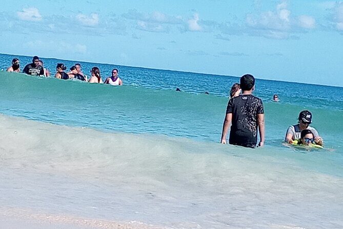 Buggy and Horseback Riding Tour on Macau Beach - Who Should Consider This Tour?