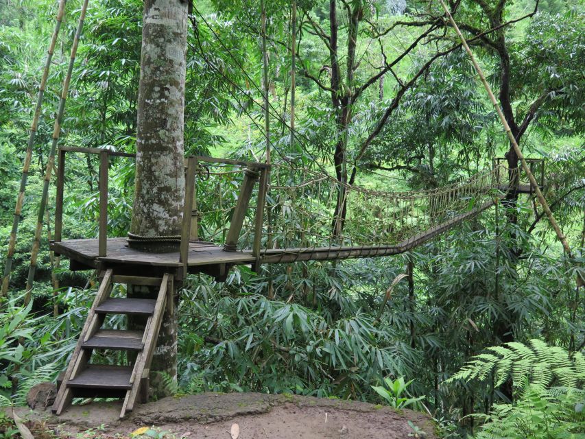 Buggy Discovery and Canyon Tubing Adventure - Complimentary Inclusions