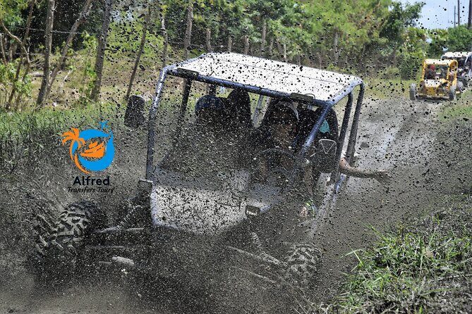 Buggy Excursion in Puerto Plata - Who Should Consider This Tour?