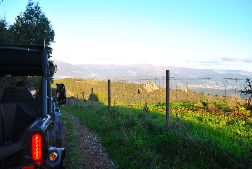 Buggy Experiences - Personal Accident Insurance Coverage