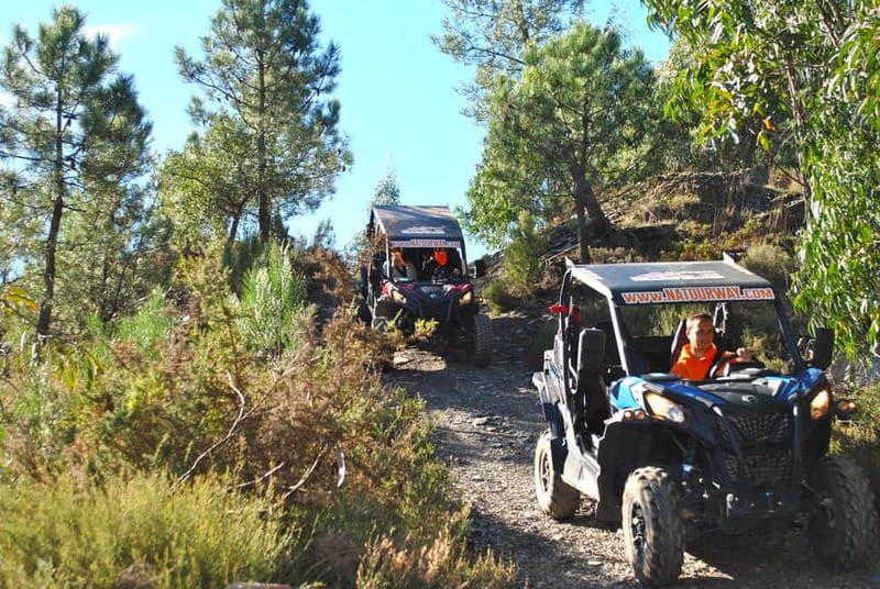 Buggy Family Experience - 60 to 120 minutes - Key Points