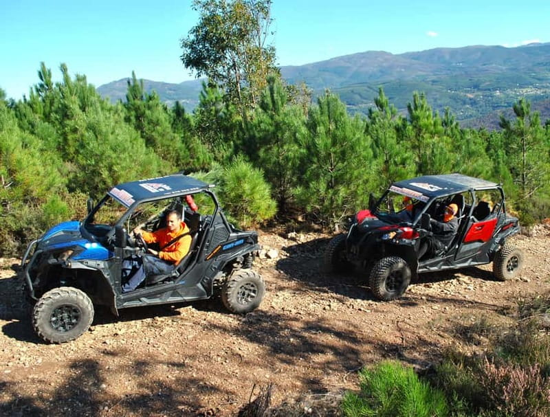 Buggy Family Experience - 60 to 120 minutes - The Trail Experience: What to Expect