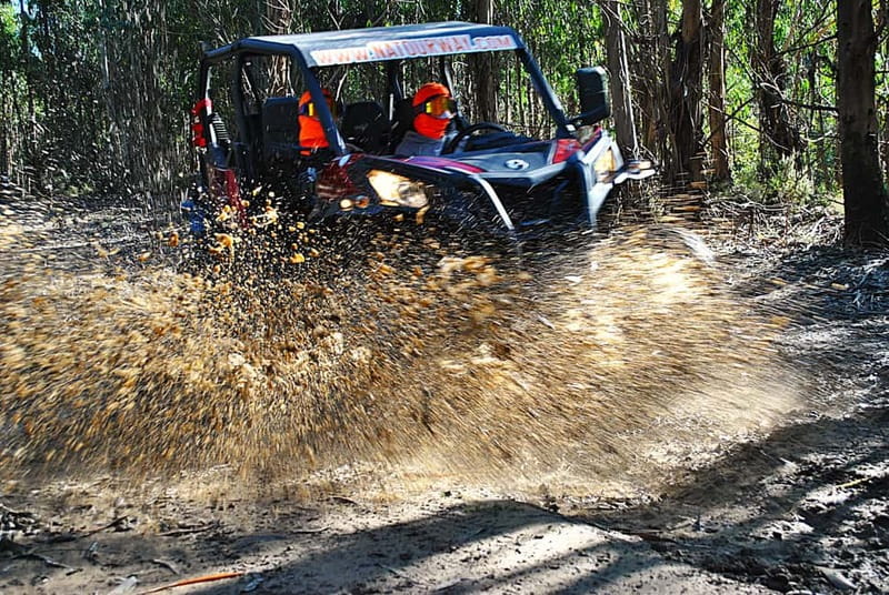Buggy Family Experience - 60 to 120 minutes - The Itinerary Breakdown