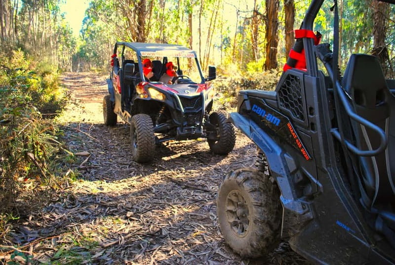 Buggy Family Experience - 60 to 120 minutes - Who Will Love This Experience?