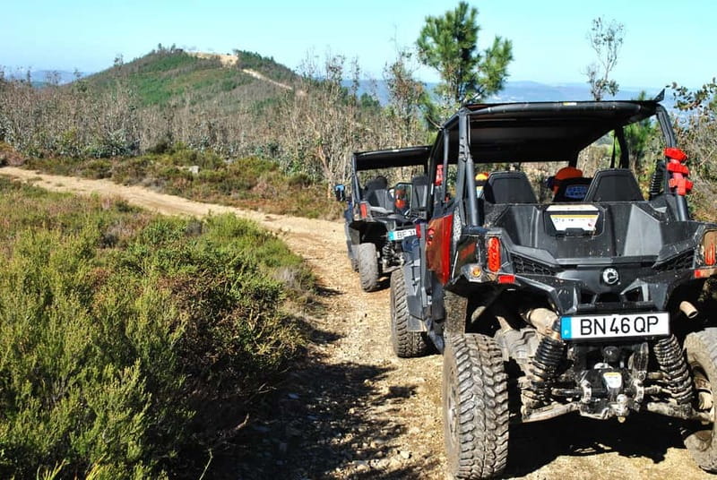 Buggy Family Experience - 60 to 120 minutes - The Sum Up