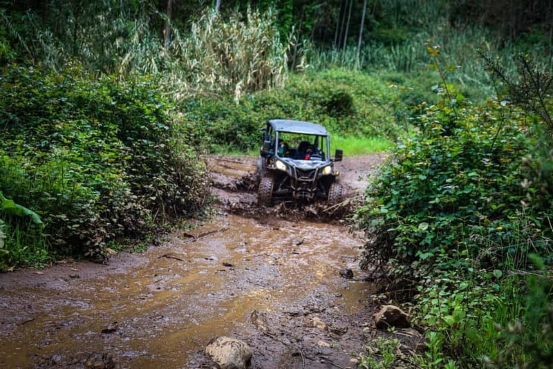 Buggy FunTrip Madeira - Off-Road Valley Adventure Tour - Key Points