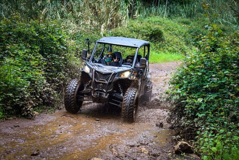 Buggy FunTrip Madeira - Off-Road Valley Adventure Tour - An In-Depth Look at the Madeira Off-Road Buggy Adventure
