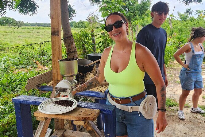 Buggy, horse and plantation ranch - A Deep Dive into the Experience