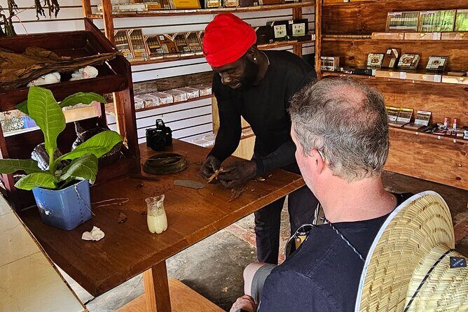 Buggy, horse and plantation ranch - Why This Tour Works Well