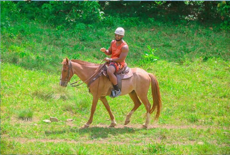 Buggy, Horse, and Zip Line with Lunch included from Punta Cana - What Makes This Tour Special