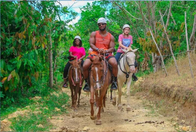 Buggy, Horse, and Zip Line with Lunch included from Punta Cana - Authentic Experiences and Real Traveler Feedback