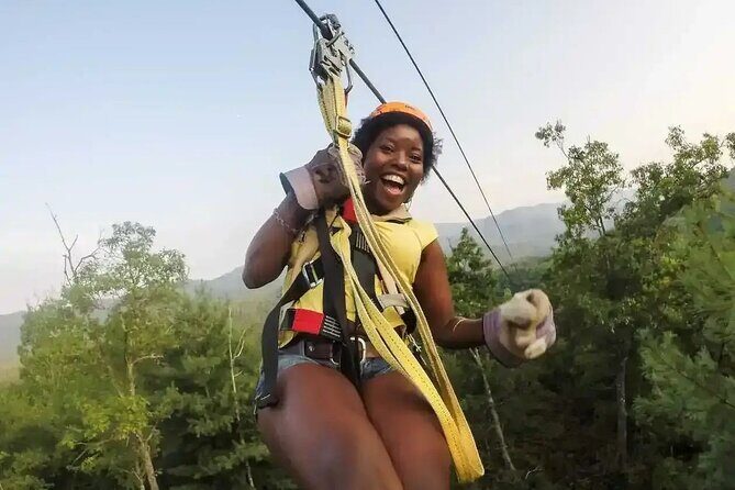 Buggy Horses and Zip Line from Punta Cana with Lunch Included - Key Points