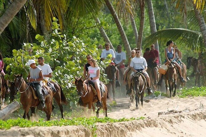 Buggy Horses and Zip Line from Punta Cana with Lunch Included - An Exciting Day in Punta Cana: A Complete Rundown