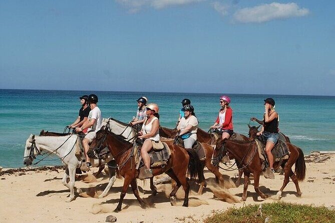 Buggy Horses and Zip Line from Punta Cana with Lunch Included - Practical Tips to Maximize Your Experience