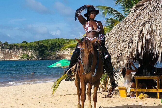 Buggy Horses and Zip Line from Punta Cana with Lunch Included - The Sum Up