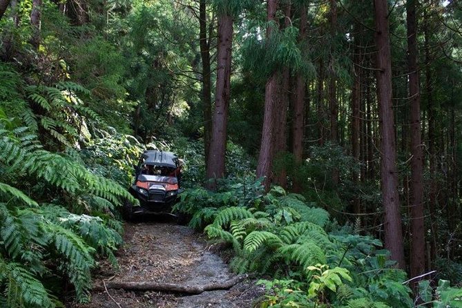 Buggy – Off-road Excursion- Coast to Coast – Half Day (Shared) - Buggy Tour Experience