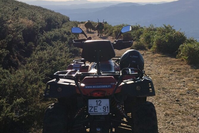 Buggy or Moto4 Tour Through Melgaço - Booking Process