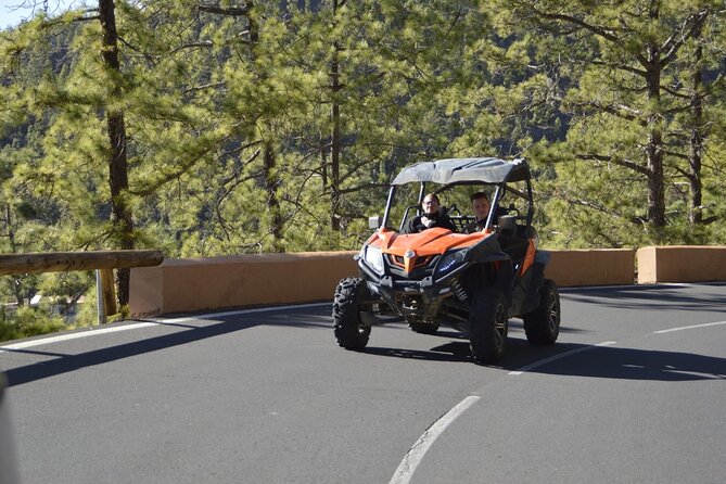 Buggy or Quad Tour Volcano Teide in Teide National Park - Pickup and Meeting Point