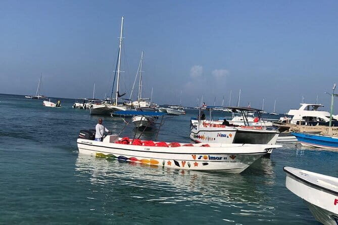 Buggy Punta Cana VIP Tour Beach, Countryside and Tradition - Price and Value: Breaking It Down