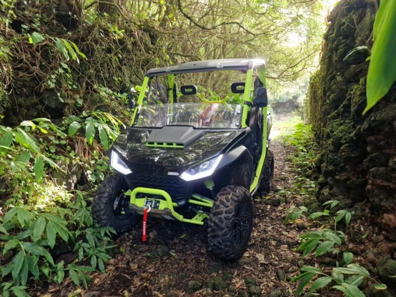 Buggy ride through the vineyards of Pico Island - An Exciting Way to Discover Pico