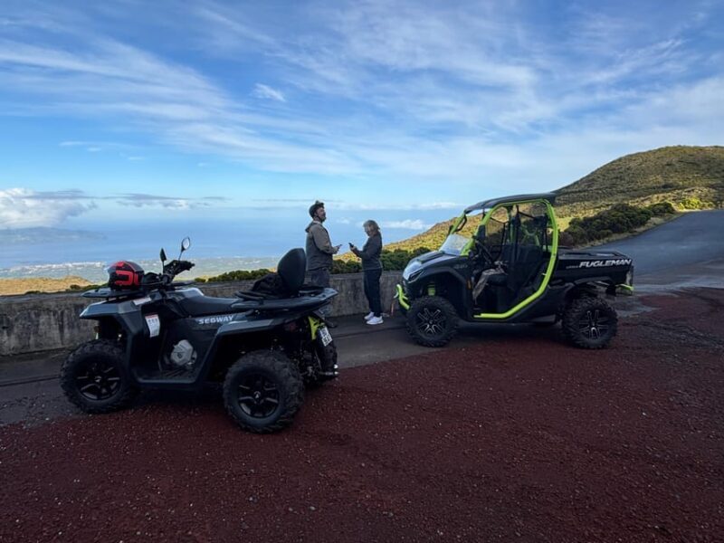 Buggy ride through the vineyards of Pico Island - The Practical Side: What to Know