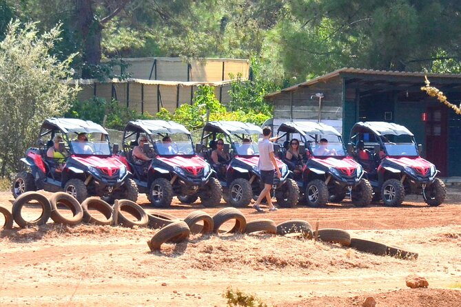 Buggy Safari - Price and Availability