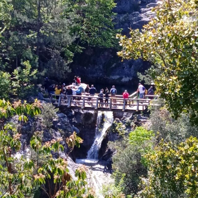 Buggy Safari Discover Olympus by Classic Buggy Rentals - Experience Highlights