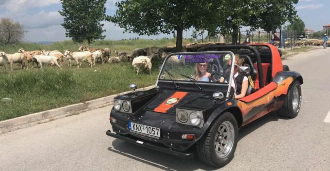 Buggy Safari Discover Olympus by Classic Buggy Rentals - Activity Suitability