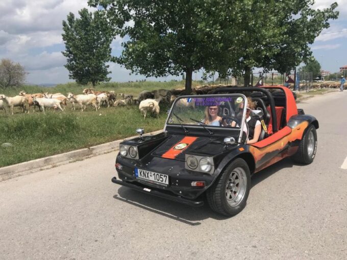 Buggy Safari Discover Olympus by Classic Buggy Rentals - Frequently Asked Questions