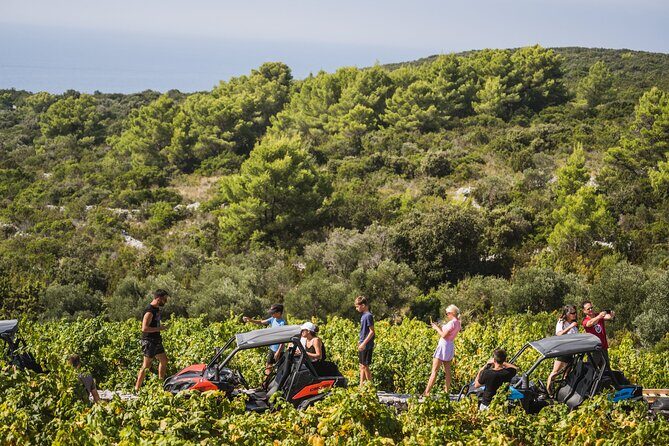 Buggy Safari With Wine Tasting - Why We Love This Tour