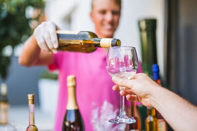 Buggy Safari With Wine Tasting - Who Should Consider This Tour?