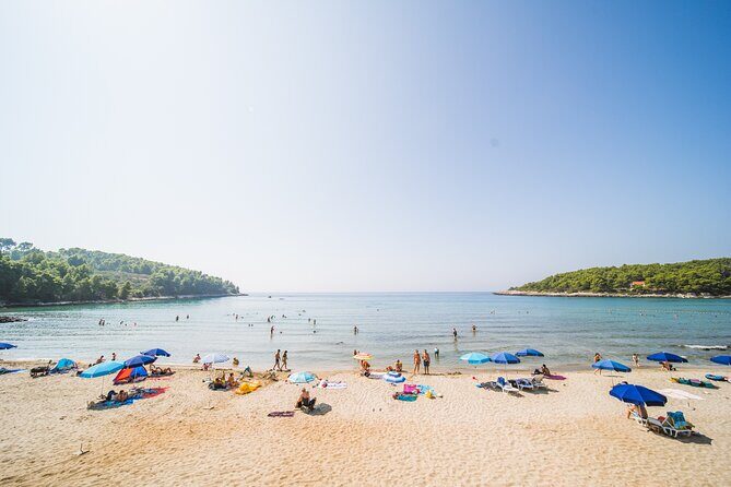 Buggy Safari With Wine Tasting - Frequently Asked Questions