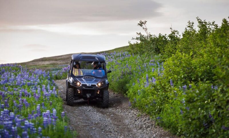 Buggy & Sky Lagoon tour - Why Choose This Tour?  
