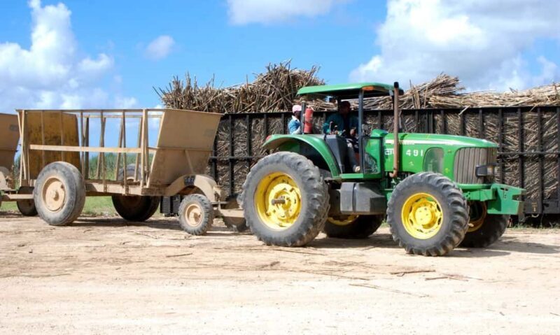 Buggy sunset - Full day - Small group - FAQ