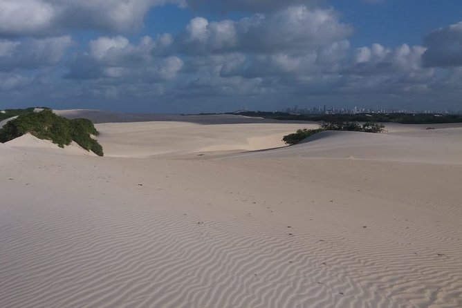 Buggy Tour Along the North Coast (Genipabu) - Itinerary and Activities