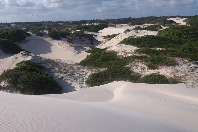 Buggy Tour Along the North Coast (Genipabu) - Reviews and Ratings