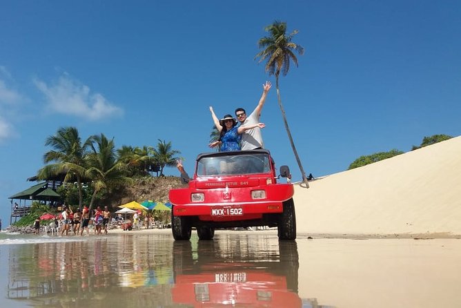Buggy Tour Along the North Coast (Genipabu) - Transportation and Logistics