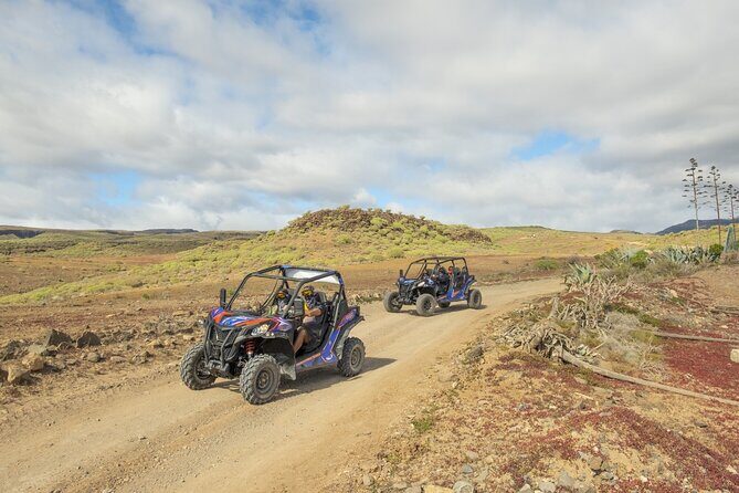 Buggy tour at Anfi beach - Who Will Enjoy This Tour?