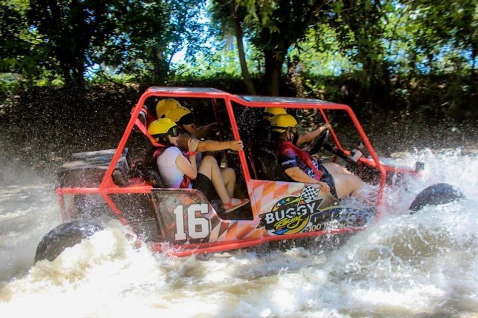 Buggy Tour Excursion in Taino Bay and Amber Cove Port - Key Points
