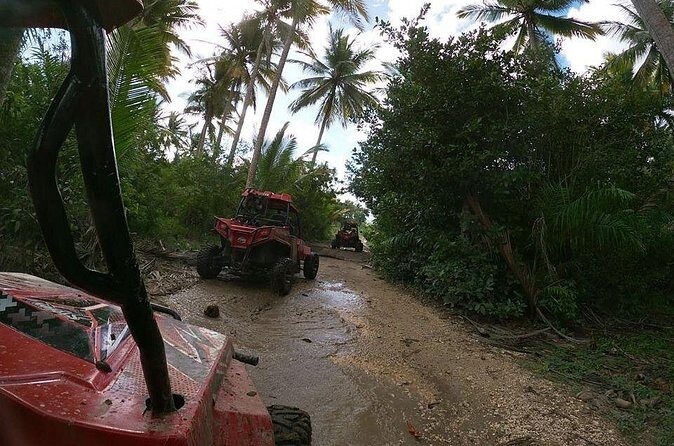 Buggy Tour from Sosua - The Sum Up: An Authentic, Fun-Filled Day Out