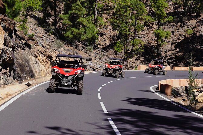 Buggy tour to Teide in Tenerife - An In-Depth Look at the Experience