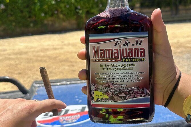 Buggy Tour with Organic Farm, Macao Beach Visit from Punta Cana - Detailed Breakdown of the Itinerary