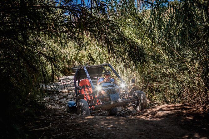 Buggy Tours in Benidorm - The Sum Up